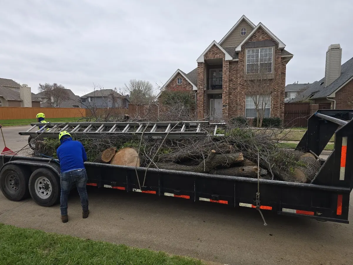 Expert Crown Reduction with proper safety equipment in Spring Park